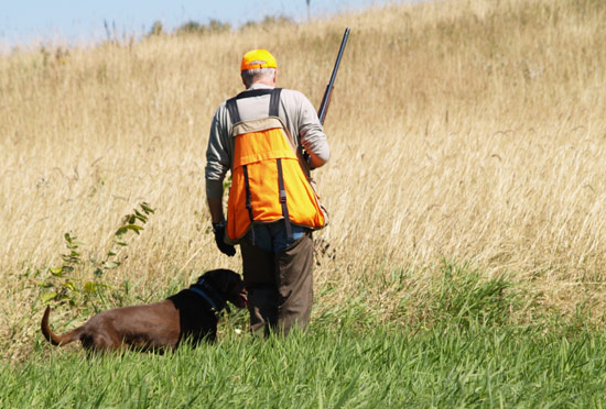 Duck hunter with hunting dog